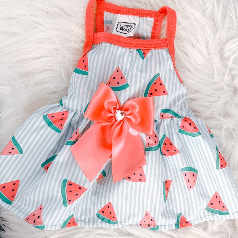 Simply wag watermelon pet dress size xs